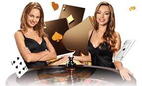 778bet